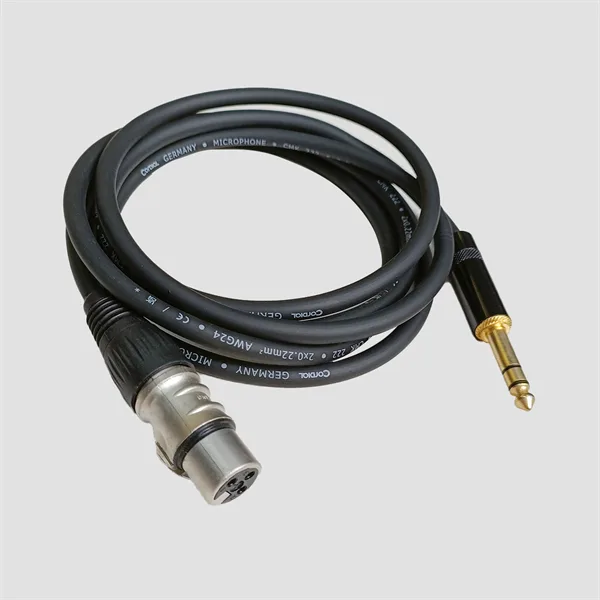 Cap truyền tín hiệu Jack 6.5mm Balance Sang Canon XLR (Cái) 2M