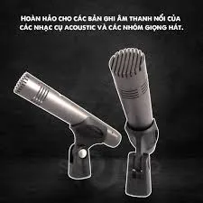Micro thu âm Prodipe Dou A1 - Micro nhạc cụ Condenser
