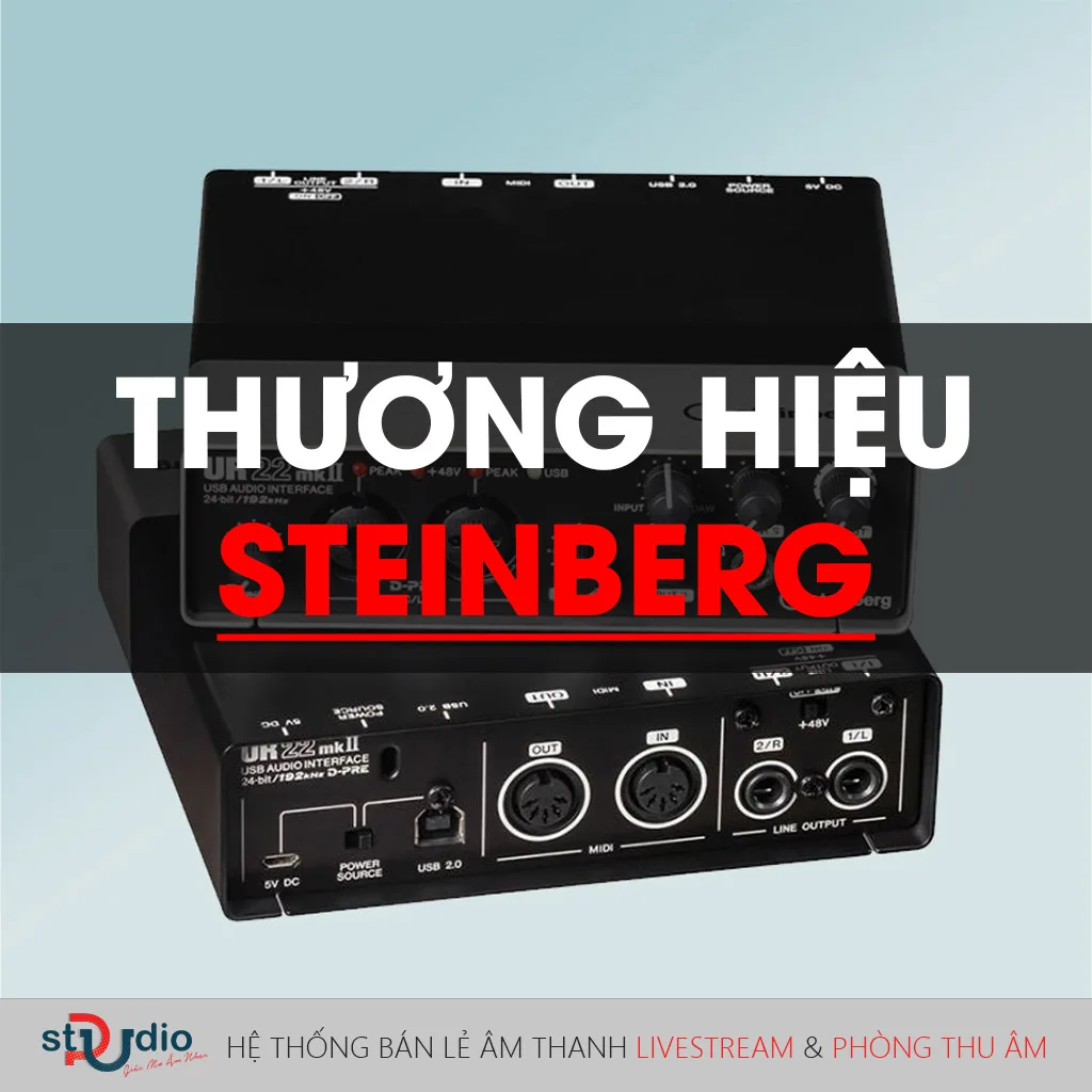 Thương hiệu Steinberg và những thông tin cần biết