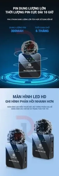 Micro cài áo PULUZ (1 RX + 2 TX) Micro cài áo không dây đa năng