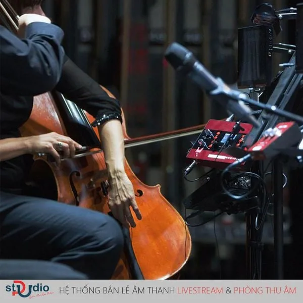 thương hiệu focusrite