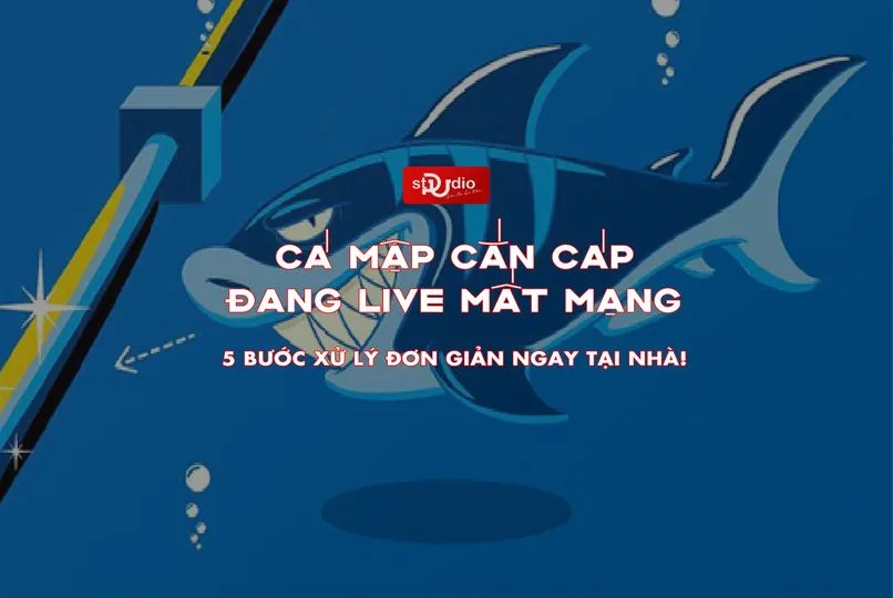 PU's Library: Livestream dùng gói mạng nào?